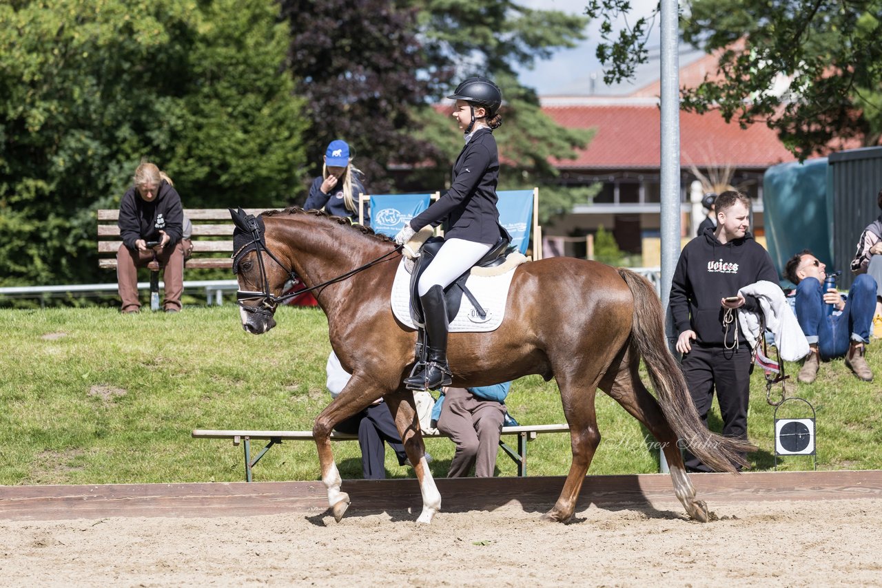 Bild 441 - Pony Akademie Turnier